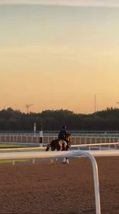 ☀️🇦🇪Beautiful track morning at Meydan watching the horses exercise🏇💚💫 @racingdubai | Dylan Cunha Racing LTD