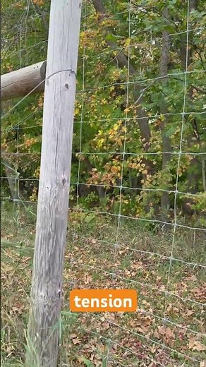 Farmers and Homeowners LOVE This Stunning Fence Design!
