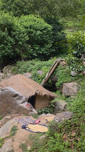 100-Year-Old Himalayan Water Mill Still Feeds a Village | Organic Food & Traditional Nepal Life