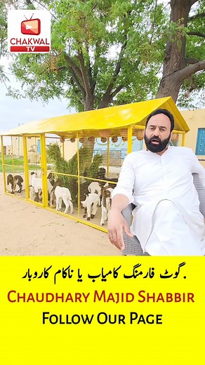 839K views · 10K reactions | Goat Farming Profitable Business | Chakwal TV Official | Facebook