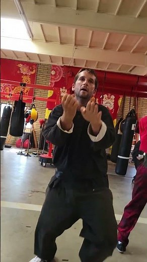 The Northern Shaolin Forms | Advanced Kung Fu Training