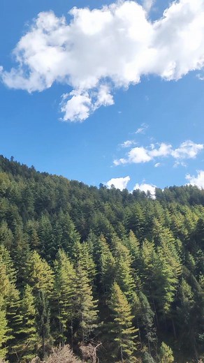 86K views · 4.9K reactions | Doma Hyolmo on Reels | Facebook