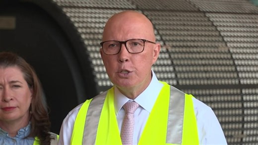 Dutton dodges questions on voluntary redundancy plan