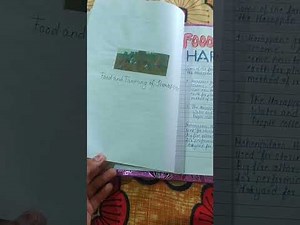 History Project of class 9 (Make comparative study of Harappan and Mesopotamia Civilization.)