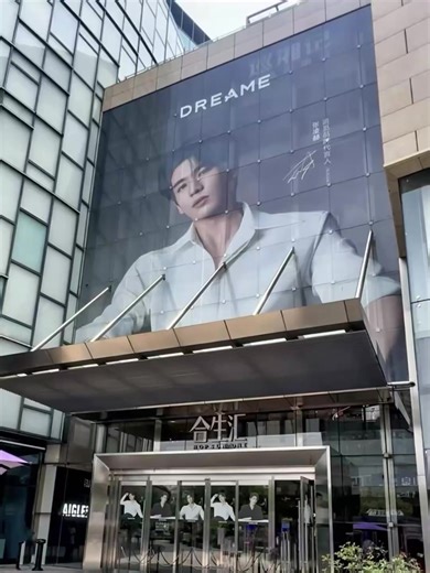 Zhang Linghe: The Ubiquitous Brand Ambassador