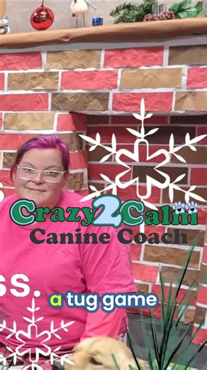 Want to quickly calm your dog? Have your guests play tug-of-war! But only with people who know how to control the game, keeping arousal on the low side of excited. A minute or two of gentle tugging is the perfect way to settle them. It works wonders! #DogTraining #CalmDog #TugOfWar #DogBehavior #HappyDog #12DaysofPlanning #ypoflove | Yooper Paws