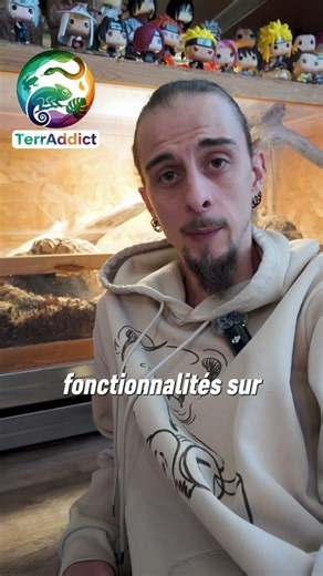 TerrAddict !🌿 Le réseau social que tous les terrariophiles attendaient ! 🦎✨