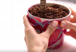Spruce Up Your Garden With These Brilliant DIY Ideas