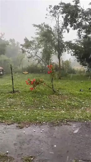 Hailstrom & Thunderstorm