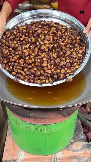 Cooking Special Insects - Yummy Deep Fry June Bugs and Yummy Eating #CookingInsect #DeepFryJuneBugs