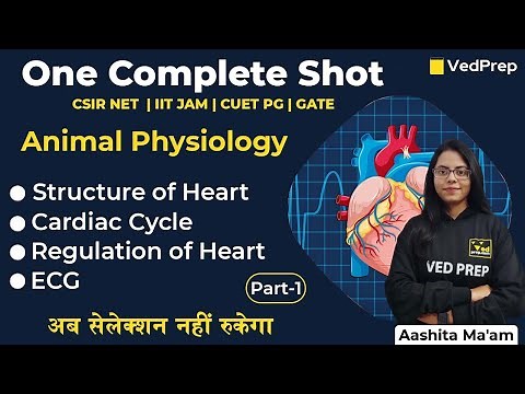 Complete Animal Physiology in One Shot | CSIR NET | IIT JAM | CUET PG| GATE |VedPrep Biology Academy