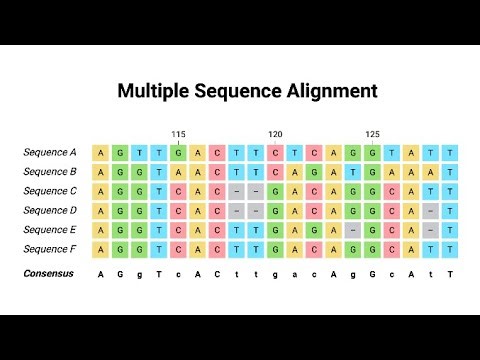 Basic Concepts of Sequence Alignment (13 Minutes)