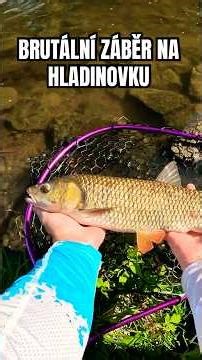 Takový ZÁBĚR na hladinovku jsem ještě nezažil!