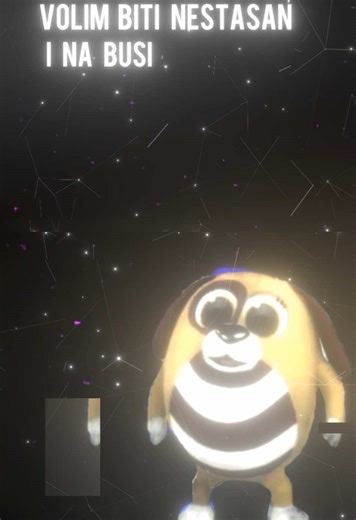 Mekani Zvekani: Pjesme koje osvajaju srca