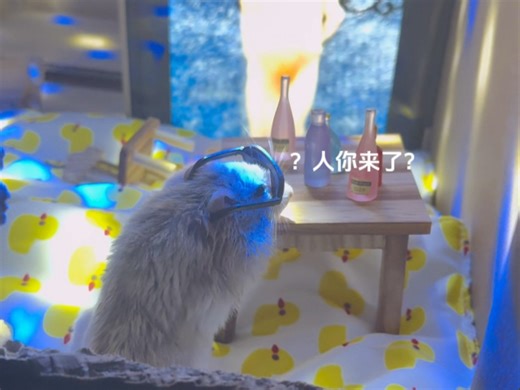 我是房间怎么有dj声