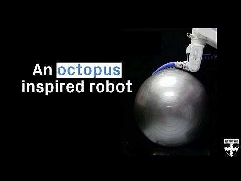 This Robot Arm Grabs Objects Like an Octopus