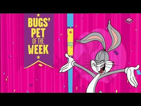 Boomerang UK Bugs' Pet Of The Week Promo