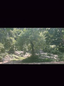 The perfect Labor Day weekend. Scenes by the water, Central Park and apartment views of the city and water. ❤️殺#laborday #labordayweekend #nycapartments #shahidaarabi #manhattan #centralpark #empirestatebuilding @empirestatebldg | The Smart Girl's Guide to Self-Care | Facebook