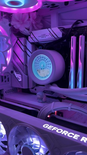 Upgrade Your Gaming Setup with a GeForce Hamster-Powered Computer