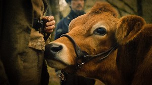 ‘First Cow’ and the Anti-Capitalist Filmmaking of Kelly Reichardt