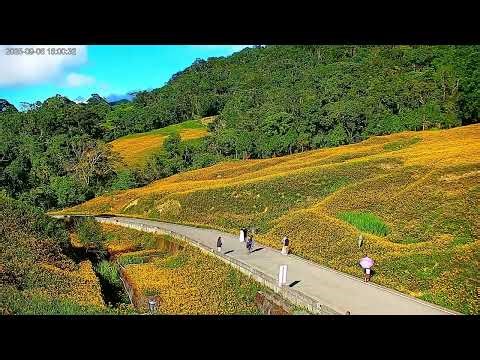 花東縱谷即時影像-赤科山 2025年金針花、星空縮時攝影