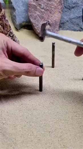 @A big orange cat @wheat pocket