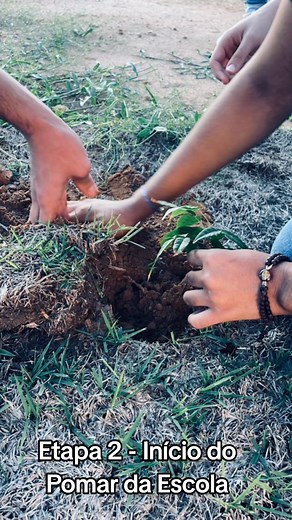 Essa semana foi dado início a mais um projeto escolar, se trata da segunda etapa do plantio na escola. na oportunidade foram plantadas mudas de espécies frutíferas independente da sua origem. Plantamos Pitombeiras, Pitangueiras, Rambutan e Tamarindeiros. #agrofloresta #frutiferas #escolaverde #FalaGalvao