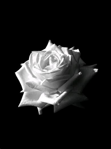 only time will tell #songs #lyrics #aesthetics #music #fypppppppppppppp