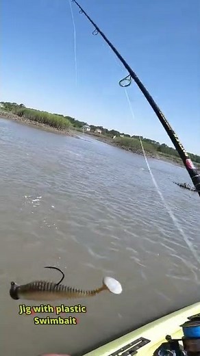 Hilton Head Island Redfish Creek Fishing [Broad Creek]