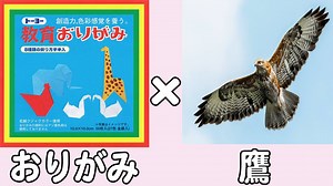 【折り紙】鷹の折り方　立体的で簡単なおりがみ作品の作り方　子供でも作れる難しくない折り方【おりがみ】 – ゆいのおりがみ研究室