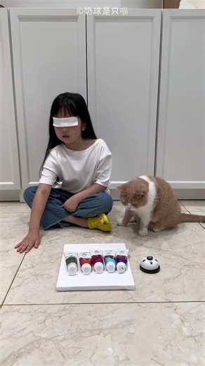 Cat helped His Owner Draw Again But #trendingshorts