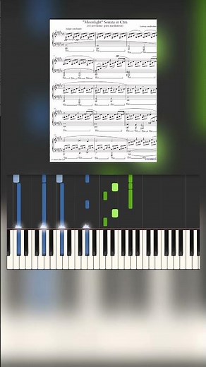 Moonlight Sonata 1st Movement, L. Beethoven #piano #music #classicalmusic #beethoven #pianotutorial
