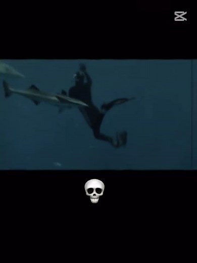 MrBeastの危険すぎるチャレンジ集#ミスタービースト #Mr.Beast