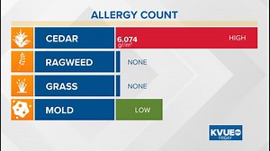 Second highest cedar pollen count of the season recorded in Austin