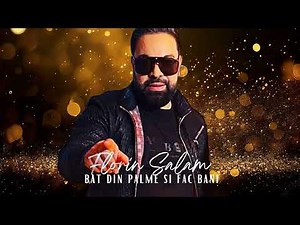 Florin Salam - Bat din palme si fac bani [Videoclip Oficial] 2024