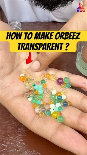 does ORBEEZ transparent by RIN ALA | science experiment #science #experiment