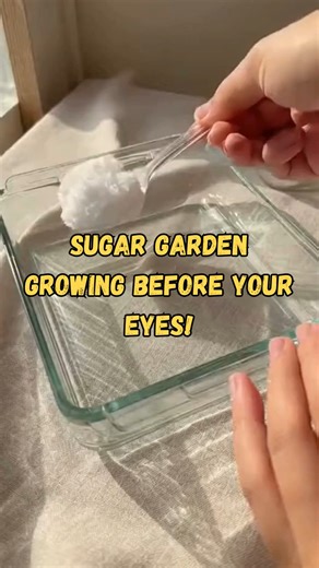 Science can be so soft. Try it | Hello Quick recipes