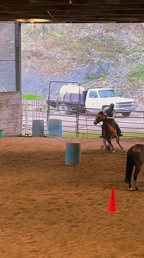 Never let them know your next move, right? #BigComfy #EasyWithAdobeExpress #dunhorse #doublejsaddlery #csipads #barrelracing #texasrollback