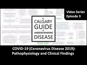 COVID19 Pathophysiology and Clinical Findings