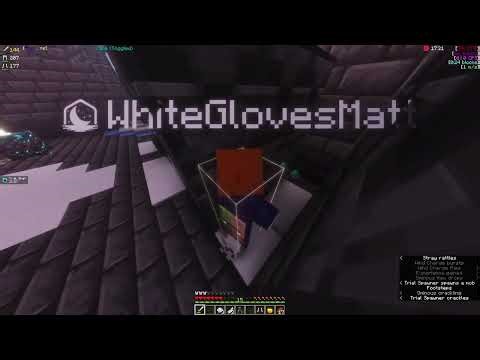 Beating Descendant+ as THE TARNISHED + No Runbacks