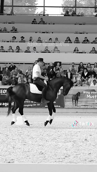 Equestrian Dressage Competition Highlights