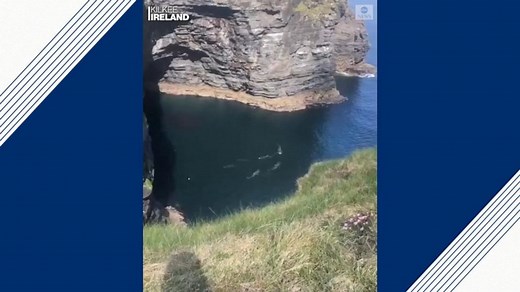 Basking sharks swim off Irish coast