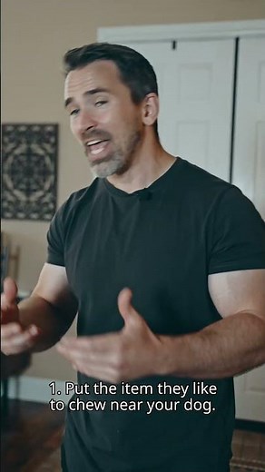 Teaching Your DOG 🐶 to Stop 🛑 CHEWING when Left Alone: A Step-by-Step Guide 📚