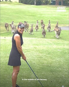 Meanwhile, in Australia...🤣 | SPORTbible