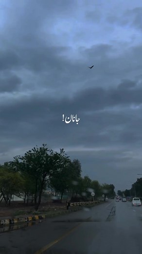 Qurban Shama Za Meaning in Urdu: Pashto Song Explained