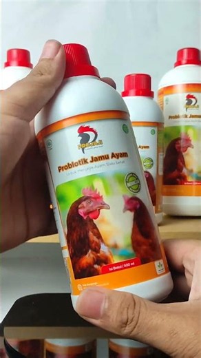 PROJAJI Herbal Probiotic for Chickens