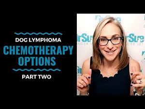 Dog Lymphoma Chemotherapy Options Part Two: Vlog 88