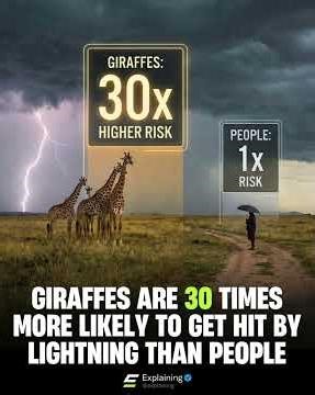 Why Everything You Know About EXPLAINING Is WRONG#contentstrategy #explainercontent