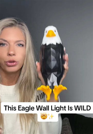 This is such a COOL gift idea 🔥 The magnetic eagle night light is under $10 right now and the flash sale is almost gone. Remote control, rechargeable, and super bright — kids, teens, adults… everybody thinks it’s awesome. Perfect for bedrooms, game rooms, hallways or anywhere you want a unique statement piece. Free shipping & a crazy low price! Grab it while it’s still in stock. 🦅✨ #tiktokshopblackfriday #tiktokshopcybermonday #bestgift #nightlight #eaglewalllight