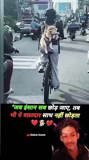 “Real Animal Love 😭 | Heart Touching Bond Between Man & Dog 🐕”